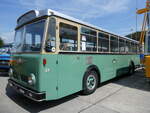 Saurer/862504/266459---tpf-fribourg---nr (266'459) - TPF Fribourg - Nr. 33/FR 300'450 - Saurer/Hess (ex Oldtimer Club 33, Tafers Nr. 33; ex GFM Fribourg Nr. 33) am 31. August 2024 in Oberkirch, CAMPUS Sursee