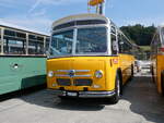 Saurer/862505/266460---party-bus-grosswangen---lu (266'460) - Party-Bus, Grosswangen - LU 107'711 - Saurer/Saurer (ex Widmer, Aarburg; ex Diethelm, Zrich; ex P 24'133; ex P 21'733) am 31. August 2024 in Oberkirch, CAMPUS Sursee