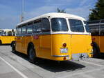 Saurer/862524/266479---bloechlinger-endingen---ag (266'479) - Blchlinger, Endingen - AG 69'937 - Saurer/Tscher (ex Dubach, Walde; ex Spescha, Andiast) am 31. August 2024 in Oberkirch, CAMPUS Sursee