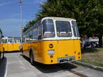 Saurer/862526/266481---streiff-gelterkinden---ag (266'481) - Streiff, Gelterkinden - AG 306'557 - Saurer/Gangloff (ex Oldie-Tours Zrisee, Wollerau; ex OTAG, Wald; ex Leibundgut, Obergoldbach; ex Krebs, Belpberg) am 31. August 2024 in Oberkirch, CAMPUS Sursee