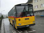 Saurer/865840/267895---luetscher-haldenstein---gr (267'895) - Ltscher, Haldenstein - GR 30'758 - Saurer/R&J (ex Dornbierer, Thal; ex FRAM Drachten/NL Nr. 24; ex PostAuto Graubnden PID 2870; ex P 24'367) am 8. Oktober 2024 in Ferrera, Lago di Lei