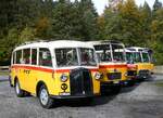 (268'026) - Schmid, Thrishaus - Nr. 3/BE 26'760 - Saurer/Gangloff (ex Geiger, Adelboden Nr. 3) am 12. Oktober 2024 in Kiental, Loosplattenalp