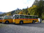 (268'031) - Schmid, Thrishaus - BE 26'206 - Saurer/Tscher (ex P 24'244) am 12. Oktober 2024 in Kiental, Loosplattenalp