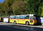 (268'429) - Schmid, Thrishaus - BE 26'206 - Saurer/Tscher (ex P 24'244) am 25.