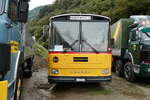 (280'356) - Gloor, Staufen -  P 26'516  - Saurer/Hess (ex ALMAT, Tagelswangen; ex P 26'516) am 13. September 2025 in Iragna, Riviera