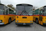 (281'424) - Huwag, Mrschwil - SG 479'527 - Saurer/R&J (ex Nef, Hemberg PID 3243; ex P 24'353) am 12.