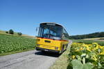 (289'380) - Rupp, Zumikon - ZH 89'802 - Saurer/T�scher (ex Eyer, Gamsen; ex P 24'401) am 4.