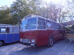 (290'252) - Niederer F., Langwiesen - TG 235'664 - Saurer/T�scher (ex Sol�r+Fontana, Ilanz) am 15.