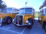 (290'485) - Bl�chlinger, Endingen - AG 69'937 - Saurer/T�scher (ex Dubach, Walde; ex Spescha, Andiast) am 29.