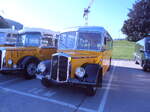 (290'486) - Steffen, Remetschwil - AG 6117 - Saurer/Hess (ex SAPJV, L'Isle; ex P 22'039; ex P 1669) am 29.