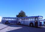 (290'494) - VBZ Z�rich (TMZ) - Nr. 540/ZH 187'540 - Saurer/Saurer (ex Nr. 7540; ex Nr. 540) am 29. August 2026 in Oberkirch, CAMPUS Sursee