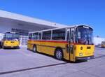 (290'523) - Wegm�ller, Attikon - ZH 305'109 - Saurer/T�scher (ex R�egg, R�ti; ex Gurtner, Worb; ex P 24'276) am 29.