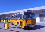 (290'528) - Zimmermann, Niederwangen - BE 985 U -Saurer/T�scher (ex P 24'632) am 29. August 2026 in Oberkich, CAMPUS Sursee