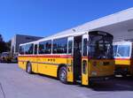 (290'540) - Schmid, Th�rishaus - BE 26'206 - Saurer/T�scher (ex P 24'244) am 29.