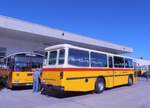 (290'542) - Schmid, Th�rishaus - BE 26'206 - Saurer/T�scher (ex P 24'244) am 29. August 2026 in Oberkirch, CAMPUS Sursee
