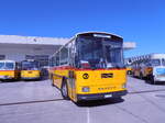 (290'543) - Schmid, Th�rishaus - BE 26'206 - Saurer/T�scher (ex P 24'244) am 29. August 2026 in Oberkirch, CAMPUS Sursee