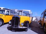 (290'571) - Remund, Niederuzwil - SG 399'288 - Saurer/Saurer (ex ex Keel, Illnau; ex P 23'110; ex P 2164) am 29.