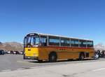 (290'719) - Krummenacher, Zillis - Nr. 74/BE 243'579 - Saurer/R&J (ex AVG Meiringen Nr. 74/PID 10'683; ex PostAuto Berner Oberland; ex P 24'357) am 6. September 2026 in Nufenen, Passh�he