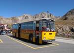 (290'721) - Krummenacher, Zillis - Nr- 74/BE 243'579 - Saurer/R&J (ex AVG Meiringen Nr. 74/PID 10'683; ex PostAuto Berner Oberland; ex P 24'357) am 6. September 2026 in Nufenen, Possh�he