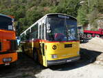 (290'838) - Wegm�ller, Attikon - ZH 305'109 - Saurer/T�scher (ex R�egg, R�ti; ex Gurtner, Worb; ex P 24'276) am 12.