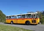 (291'219) - Gast, Reutigen - BE 113'160 - Saurer/T�scher (ex HP Trans, Thusis; ex Mauerhofer, Worb; ex Erni, Schupfart Nr. 3; ex P 24'636) am 27. September 2026 in Innertkirchen, Haberen