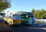 (291'233) - Gast, Reutigen - BE 113'160 - Saurer/T�scher (ex HP Trans, Thusis; ex Mauerhofer, Worb; ex Erni, Schupfart Nr.