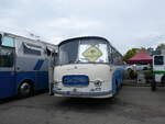 Setra/860547/265825---aus-deutschland-heuckeroth-- (265'825) - Aus Deutschland: Heuckeroth - VB-X 465H - Setra am 17. August 2024 in Neuhausen, Langriet