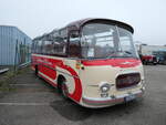 (291'351) - Aus Deutschland: Friedmann, Schweighofen - S�W-F 20H - Setra am 3.