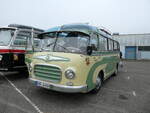 (291'365) - Aus Deutschland: Ludger, Dingwerth - WAF-D 65H - Setra am 3. Oktober 2026 in Wissembourg, AAF-Museum