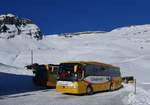 (270'354) - GrindelwaldBus, Grindelwald - Nr. 25/BE 73'249 - Mercedes am 29. Dezember 2024 auf der Bussalp