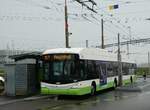 (256'171) - transN, La Chaux-de-Fonds - Nr. 141 - Hess/Hess Gelenktrolleybus (ex TN Neuchtel Nr. 141) am 19. Oktober 2023 beim Bahnhof Marin-pagnier 