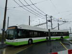 (256'199) - transN, La Chaux-de-Fonds - Nr. 138 - Hess/Hess Gelenktrolleybus (ex TN Neuchtel Nr. 138) am 19. Oktober 2023 beim Bahnhof Marin-pagnier