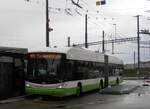 (257'562) - transN, La Chaux-de-Fonds - Nr. 133 - Hess/Hess Gelenktrolleybus (ex TN Neuchtel Nr. 133) am 11. Dezember 2023 beim Bahnhof Marin-pagnier