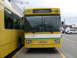 (258'950) - transN, La Chaux-de-Fonds - Nr. 101 - NAW/Hess Gelenktrolleybus (ex TN Neuchtel Nr. 101) am 26. Januar 2024 in Marin, Dpt
