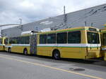 (261'659) - transN, La Chaux-de-Fonds - Nr. 117 - NAW/Hess Gelenktrolleybus (TN Neuchtel Nr. 117) am 23. April 2024 in Marin, Dpt