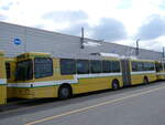 (261'662) - transN, La Chaux-de-Fonds - Nr. 117 - NAW/Hess Gelenktrolleybus (ex TN Neuchtel Nr. 117) am 23. April 2024 in Marin, Dpt