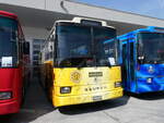 Saurer/862048/266350---party-bus-grosswangen---lu (266'350) - Party-Bus, Grosswangen - LU 117'113 - Saurer/R&J (ex Stirnimann, Neuenkirch Nr. 42) am 31. August 2024 in Oberkirch, CAMPUS Sursee