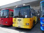 Saurer/862423/266442---party-bus-grosswangen---lu (266'442) - Party-Bus, Grosswangen - LU 117'113 - Saurer/R&J (ex Stirnimann, Neuenkirch Nr. 42) am 31. August 2024 in Oberkirch, CAMPUS Sursee