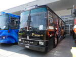 Saurer/862428/266447---party-bus-grosswangen---lu (266'447) - Party-Bus, Grosswangen - LU 117'116 - Saurer/R&J (ex Wohlgemuth, Hochwald) am 31. August 2024 in Oberkirch, CAMPUS Sursee