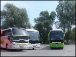 MAN Lion's Coach von MeinFernBus/Omnibusbetrieb Karsten Brust aus Deutschland in Stralsund.