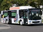 MAN Lion's City CNG der Stadtwerke Greifswald in Greifswald.