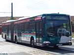 Mercedes Citaro I vom Verkehrsbetrieb Potsdam in Potsdam.