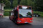 Der Mercedes Benz Citaro Standartbus Nr.