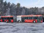 Mercedes Citaro I ex Nahverkehr Schwerin in Neustrelitz.