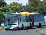 Mercedes Citaro II vom Verkehrsbetrieb Potsdam in Potsdam.