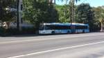 Irisbus Citelis Gelenkbus in Malaga, Paseo del Parque am 30.6.14.