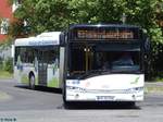 Solaris Urbino 18 der Beelitzer Verkehrs- und Servicegesellschaft mbH in Potsdam.