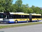 Solaris Urbino 18 der Beelitzer Verkehrs- und Servicegesellschaft mbH in Potsdam.