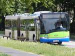 Solaris Urbino 18 der Beelitzer Verkehrs- und Servicegesellschaft mbH in Potsdam.