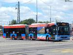 Mercedes Citaro III der SWU in Ulm.